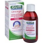 GUM BAIN DE BOUCHE GINGIDEX 300Ml