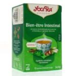 YOGI BIEN ETRE INTESTINAL 17*2G
