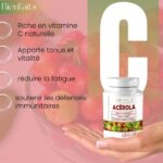 COMPLEMAX ACREOLA 60 GELULES