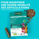 SANTAROME HARPAGOPHYTUM 2000 BIO 20 AMPOULES